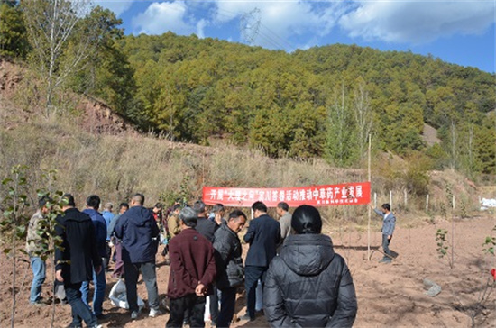 图片25.jpg