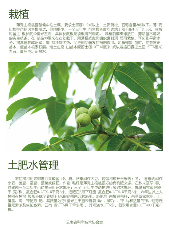 2_副本.jpg