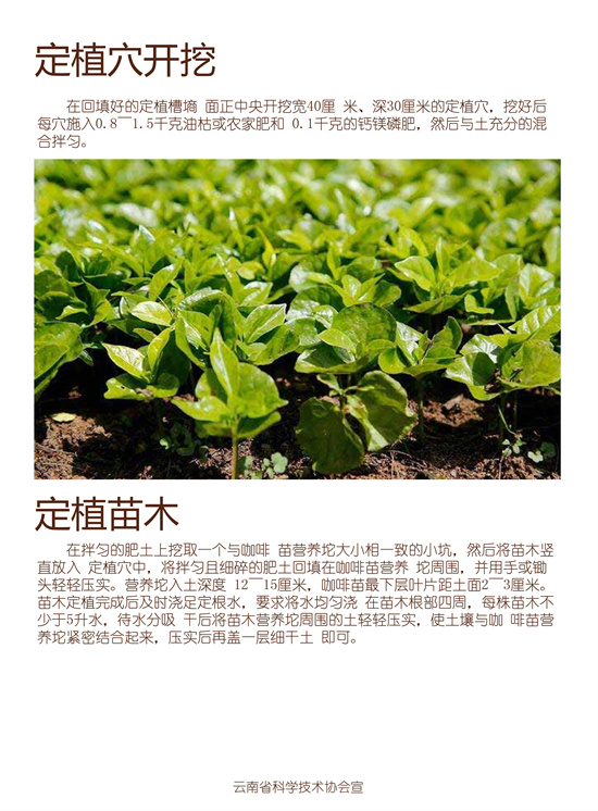2_副本1.jpg