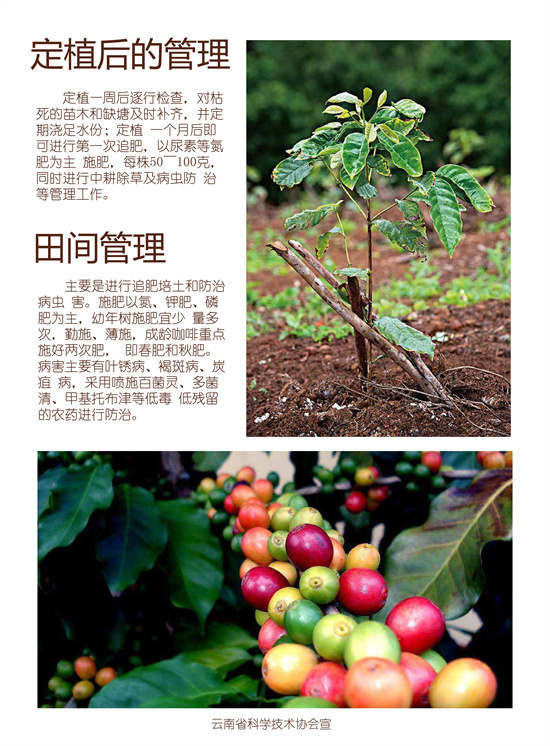 3_副本1.jpg
