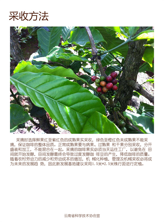 4_副本1.jpg