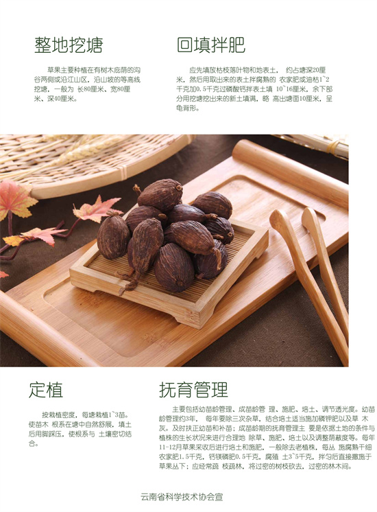 2_副本2.jpg