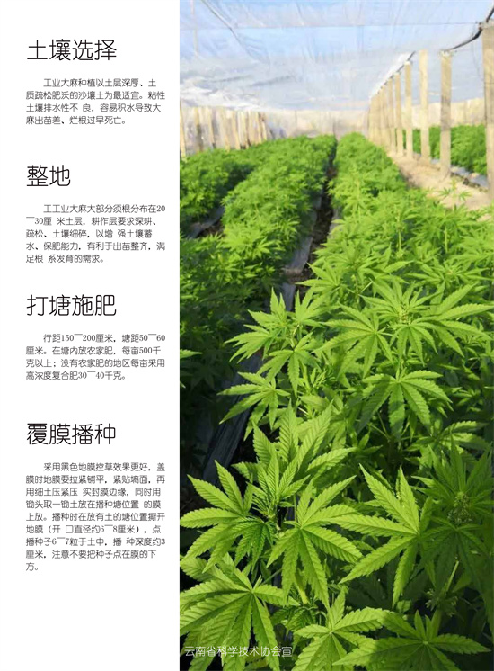 2_副本.jpg
