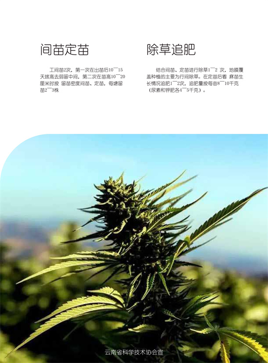 3_副本.jpg