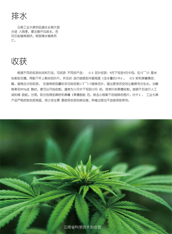 4_副本.jpg