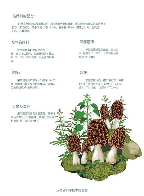 2_副本.jpg