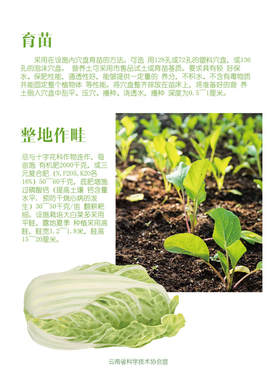 2_副本.jpg