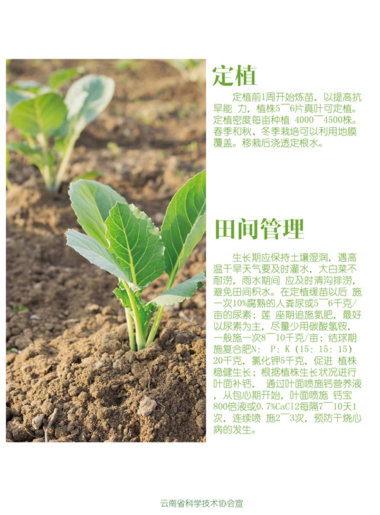 3_副本.jpg