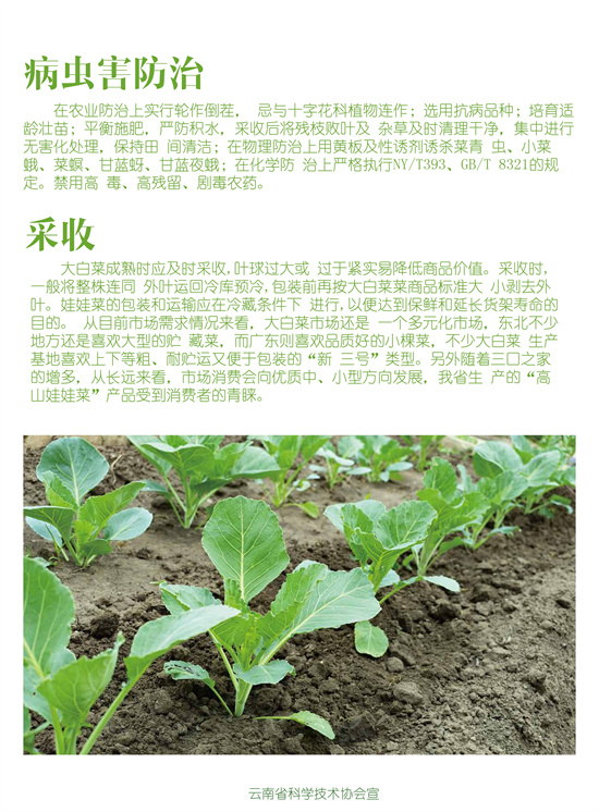 4_副本.jpg