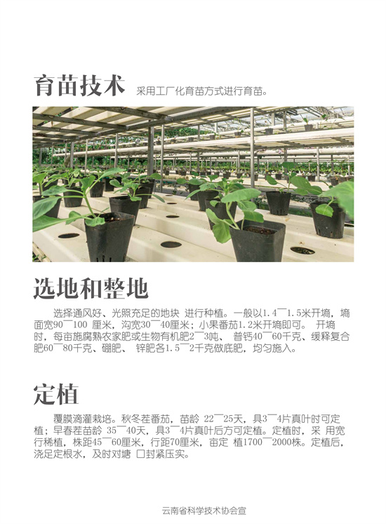 2_副本1.jpg