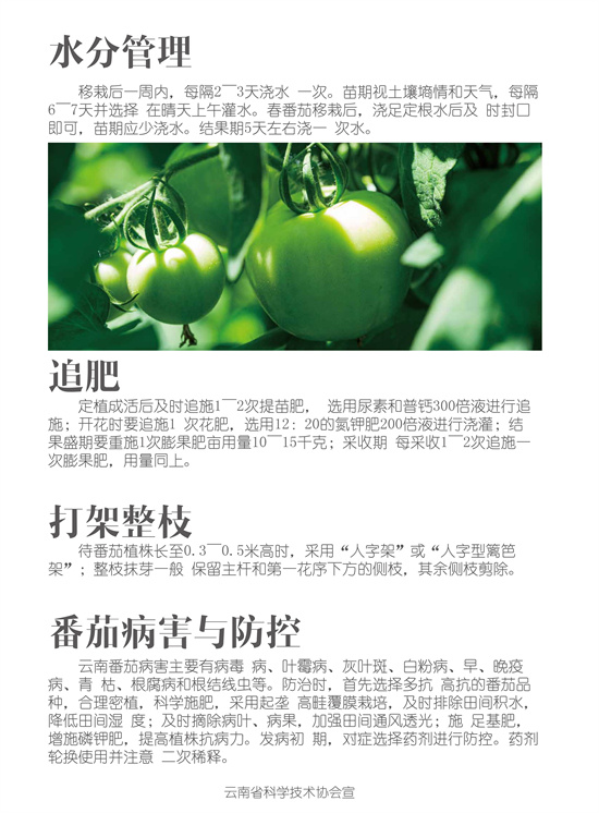 3_副本1.jpg