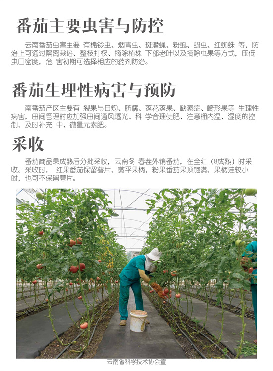 4_副本1.jpg