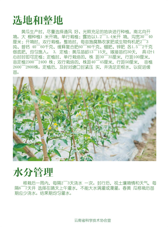 2_副本2.jpg