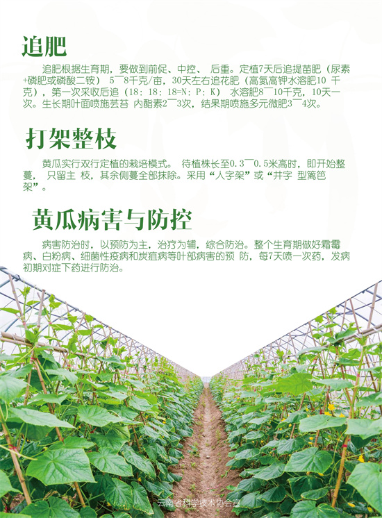 3_副本2.jpg