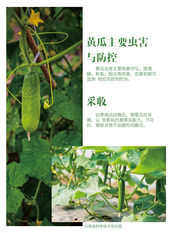 4_副本2.jpg