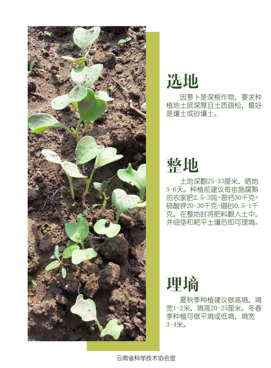 2_副本3.jpg
