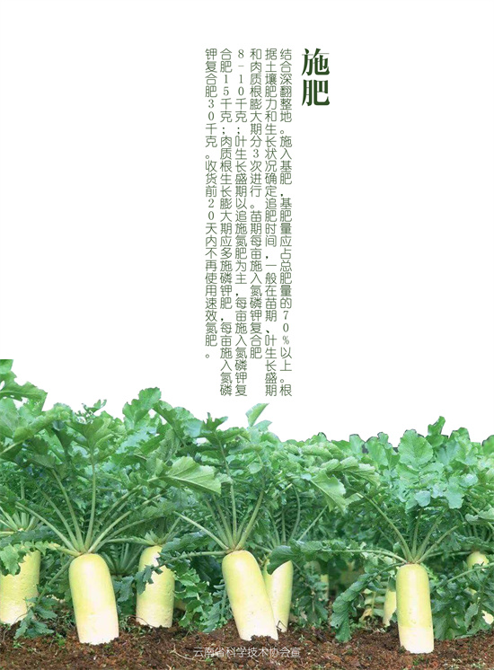3_副本3.jpg