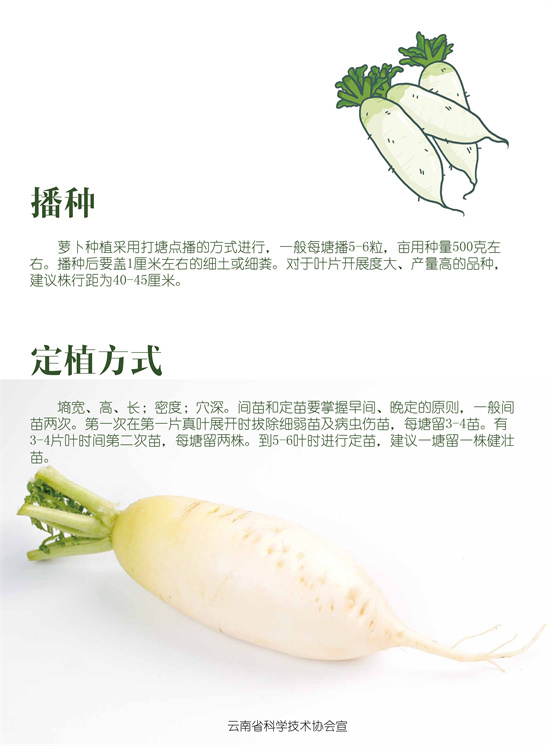 4_副本3.jpg