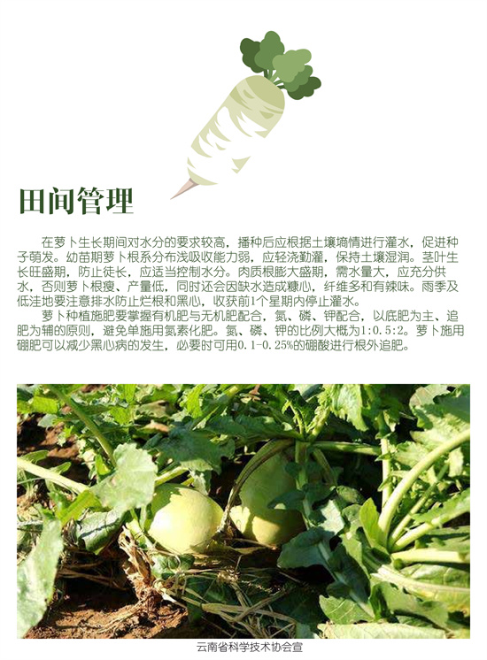 5_副本.jpg