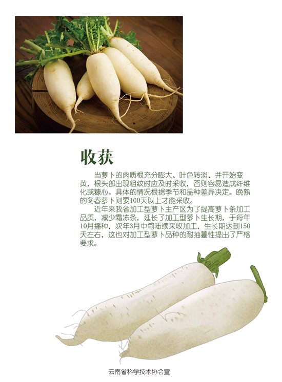 6_副本.jpg
