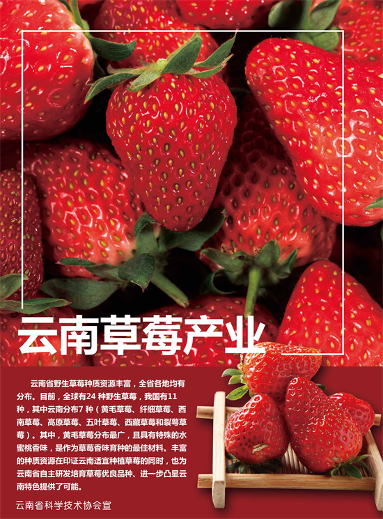 17_副本.jpg