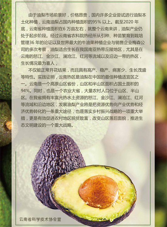 21_副本.jpg
