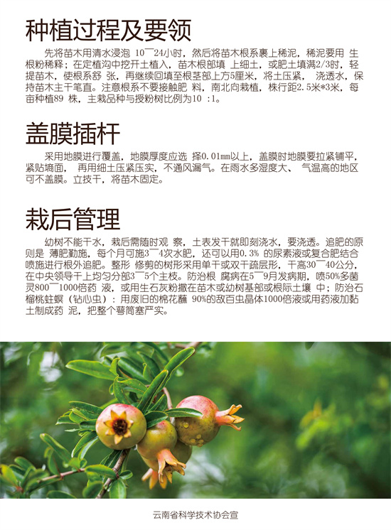 3_副本.jpg