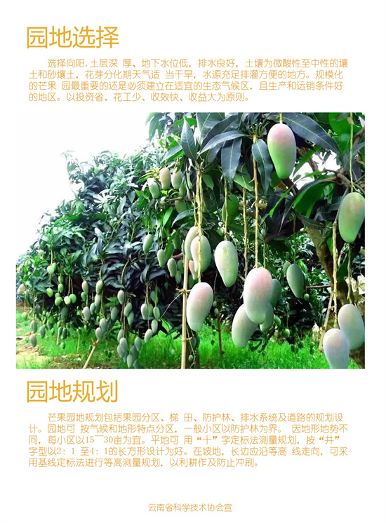 2_副本1.jpg