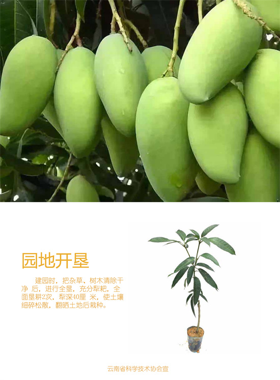 3_副本1.jpg