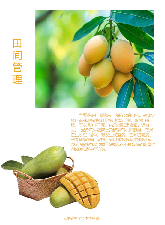 4_副本1.jpg