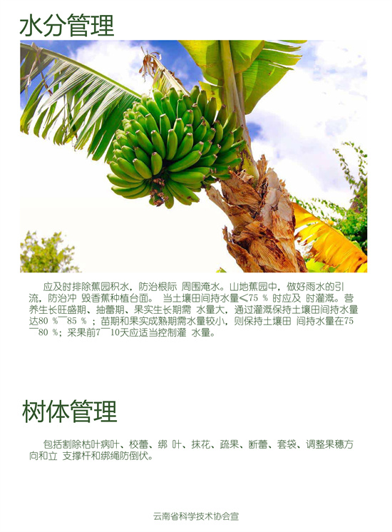 3_副本.jpg