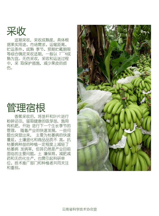 4_副本.jpg