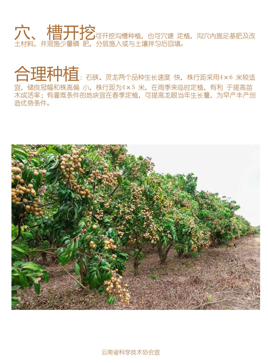 2_副本1.jpg