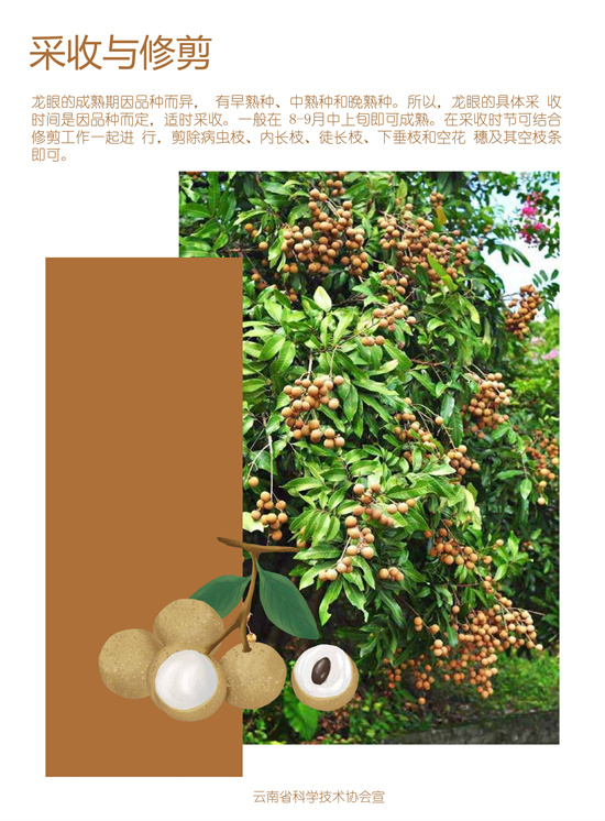 4_副本1.jpg
