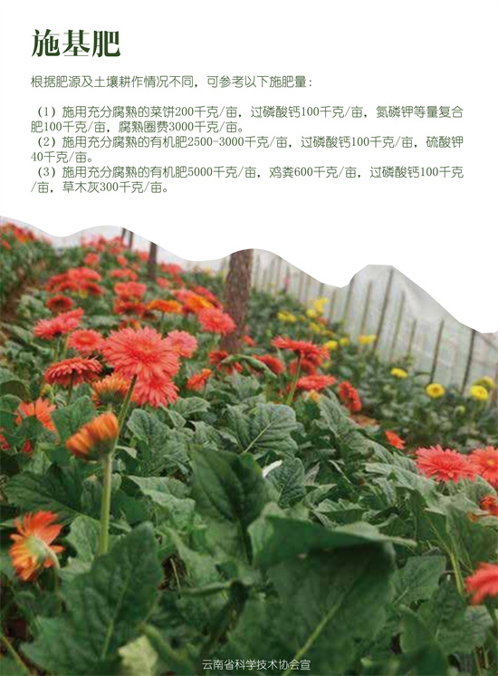 3_副本.jpg