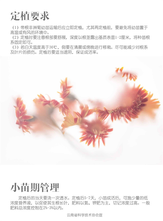 5_副本.jpg