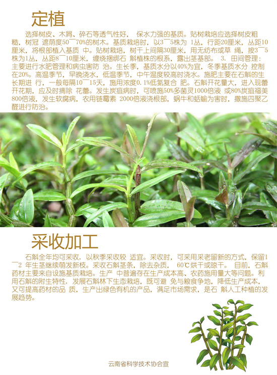 2_副本.jpg
