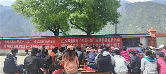 维西1.jpg