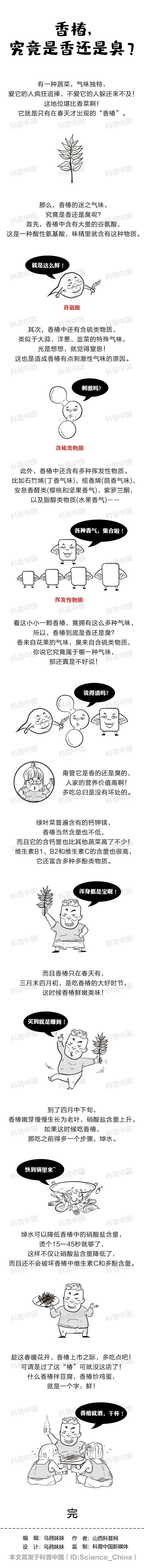 香椿2_副本.jpg