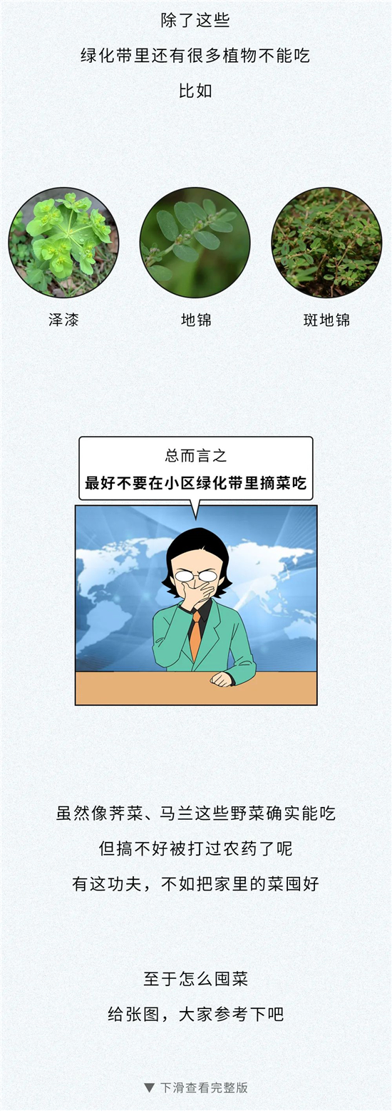 囤菜12-1.jpg