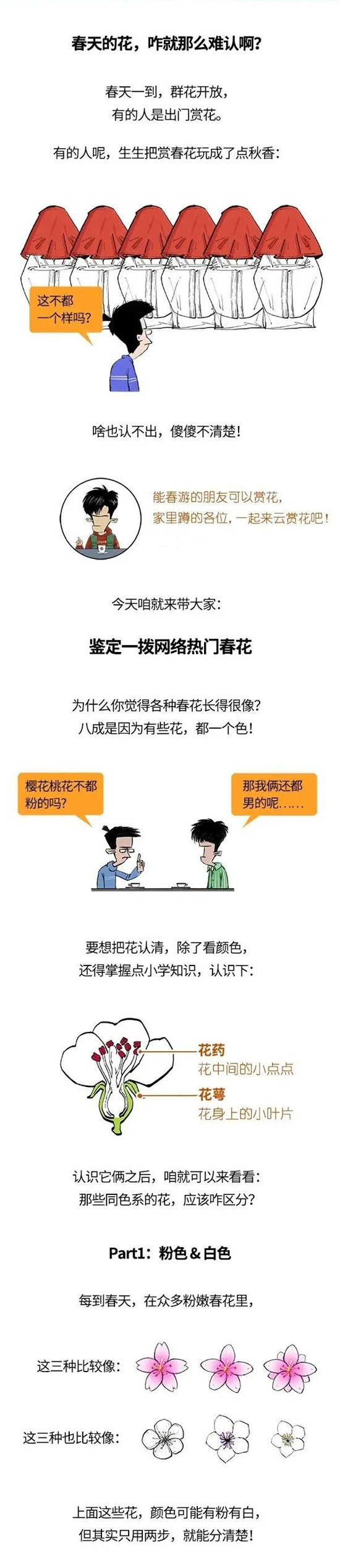花1.jpg