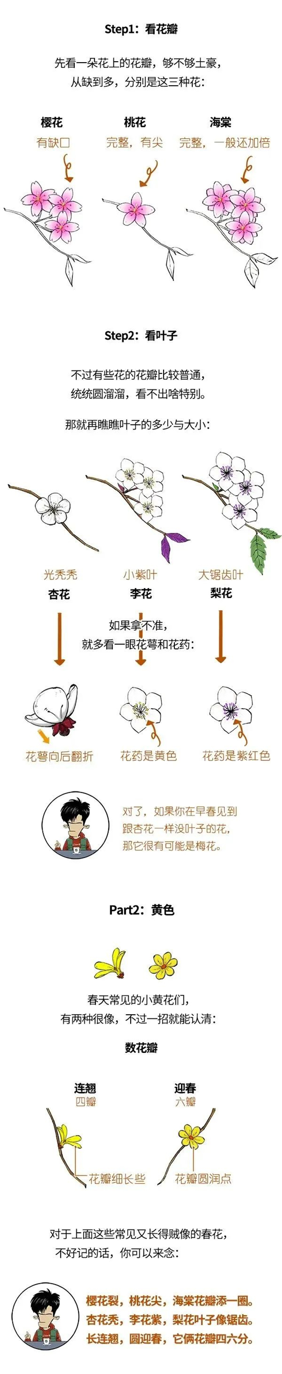花2.jpg