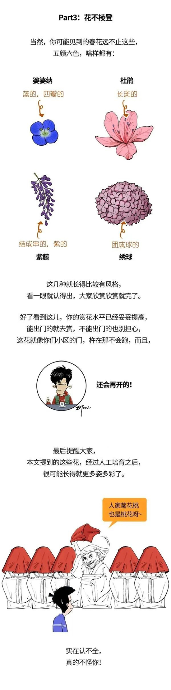 花3.jpg