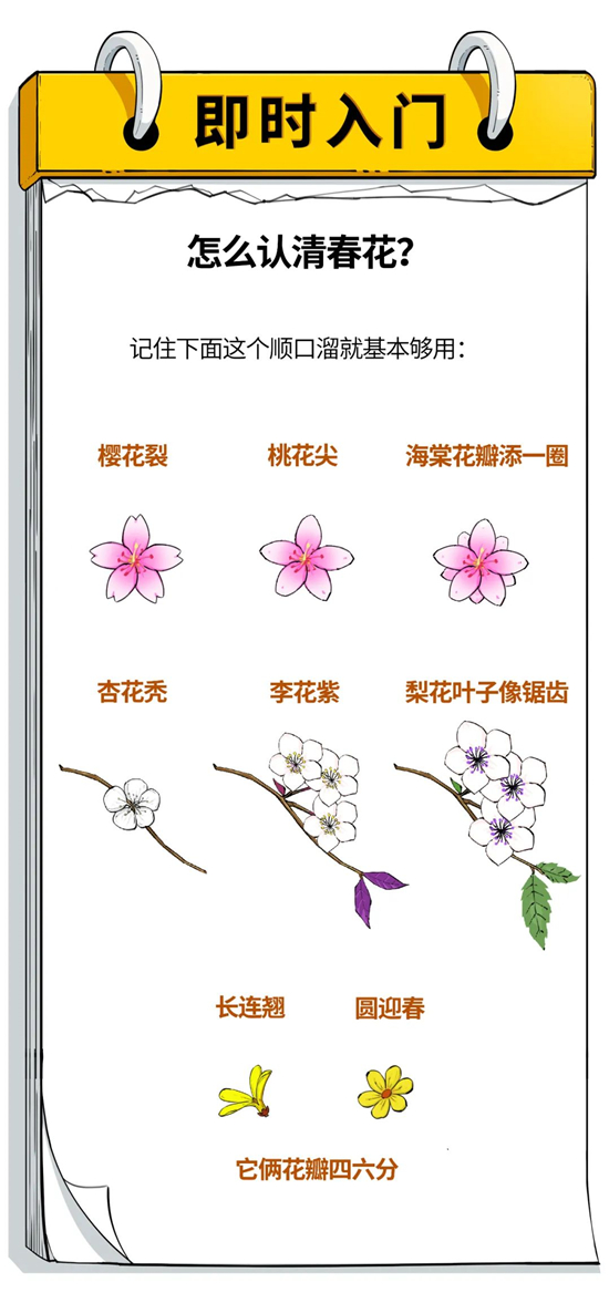 花4.jpg