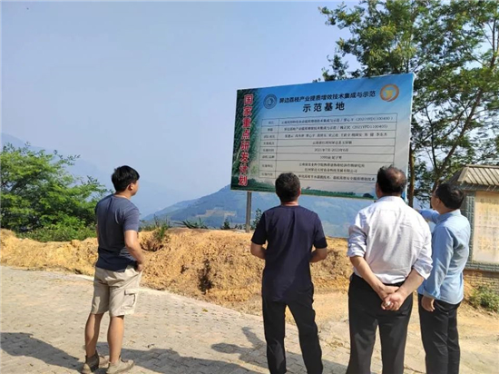 红河4_副本.jpg