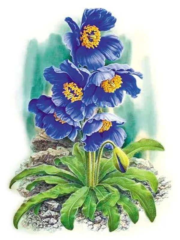 曾孝濂2.jpg