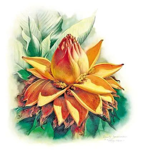 曾孝濂3.jpg