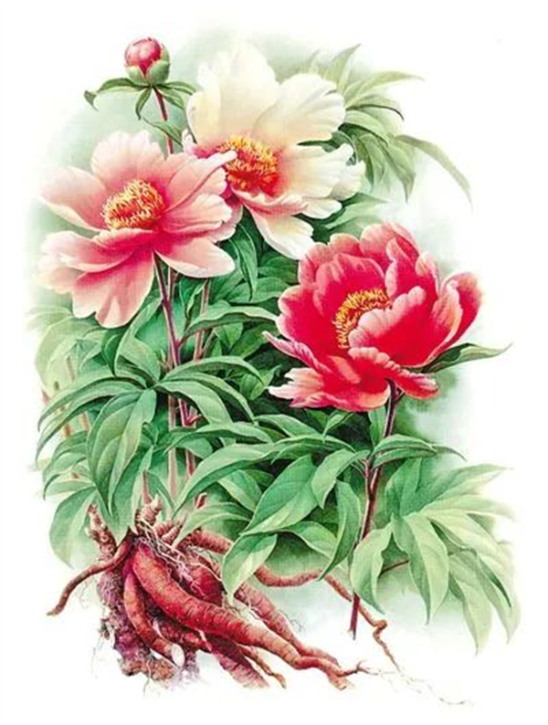 曾孝濂4.jpg