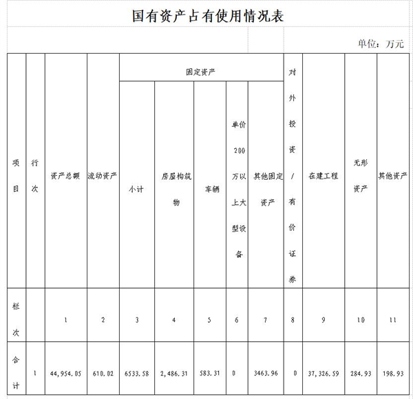 国有资产表格.jpg