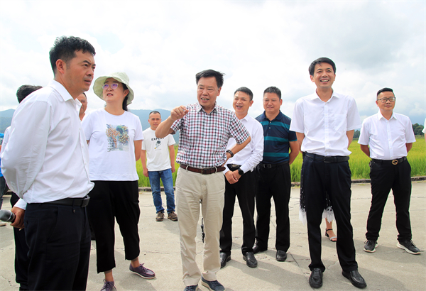 04-2调研水稻旱种（刘正凡摄 ).jpg